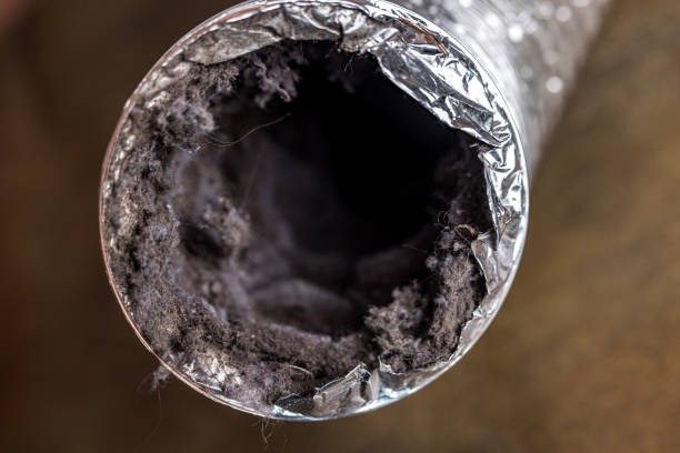 Best Ductwork Cleaning Services  in Lebanon, TN