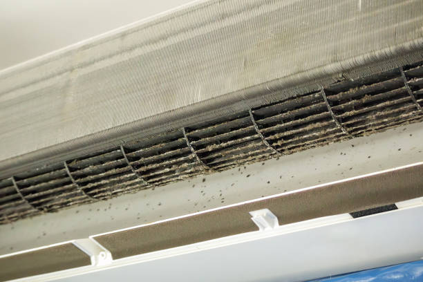 Best Air Duct Cleaning Near Me  in Lebanon, TN