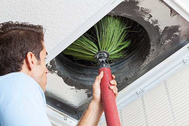 Best Dryer Vent Cleaning Services  in Lebanon, TN